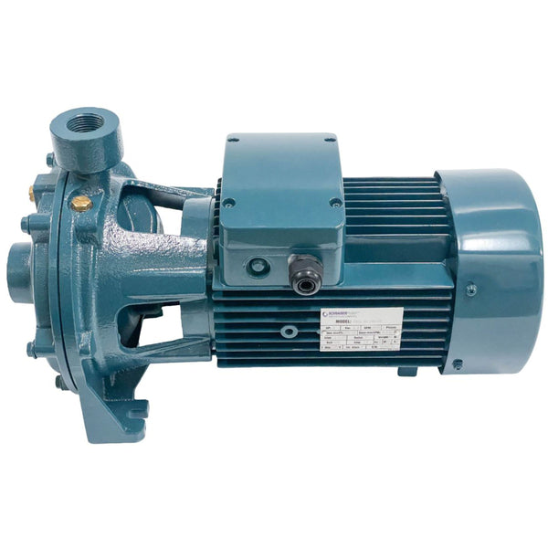 P2C 25-160/22.  Multistage Centrifugal Pump, 3 Hp, 230/400V, Cooper Winding, 213ft Head, 42.2gpm Flow, 304 S. Steel Shaft, double brass impeller